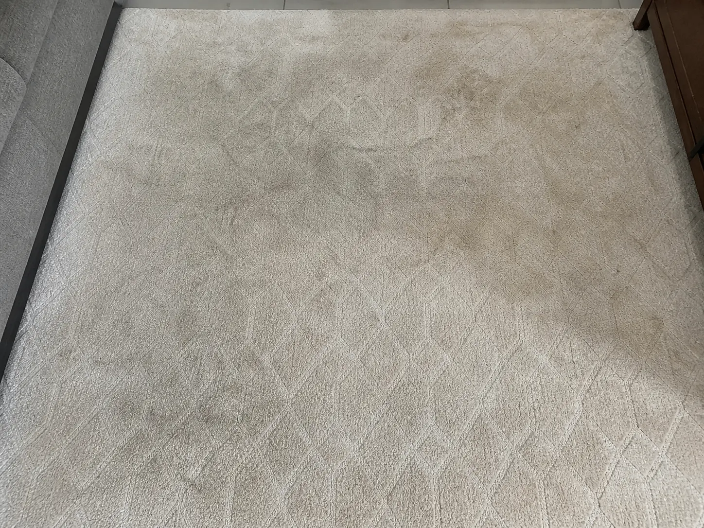 Tapis beige - Tache d'animal — avant nettoyage