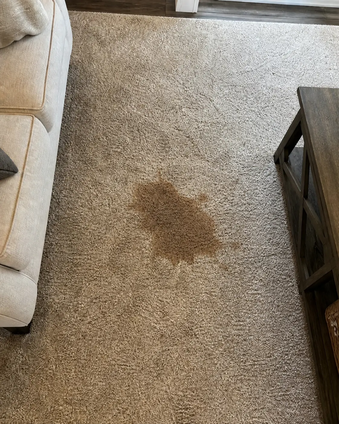Tapis beige - Tache de café — avant nettoyage